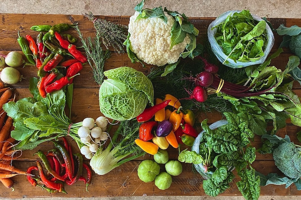 A variety  of fresh fruits and veggies