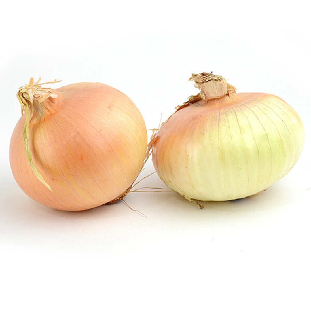 Walla Walla Onion (1 Each) - BCause