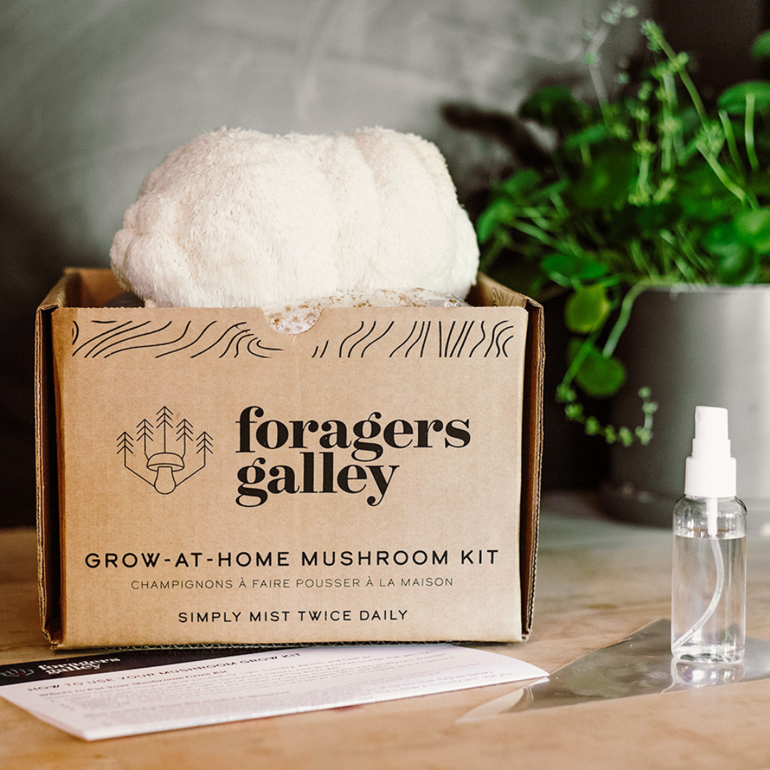 Lion's Mane Mushroom Grow-at-Home Kit - Foragers Galley - BCause
