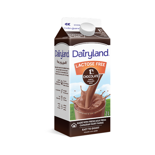 1% Lactose-Free Chocolate Milk - Dairyland (2L) - BCause