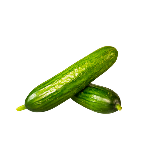 Mini Cucumber - B.C. (1 lb) - BCause
