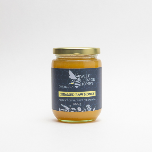 Creamed Raw Honey - Corbicula Pollen (500g) - BCause