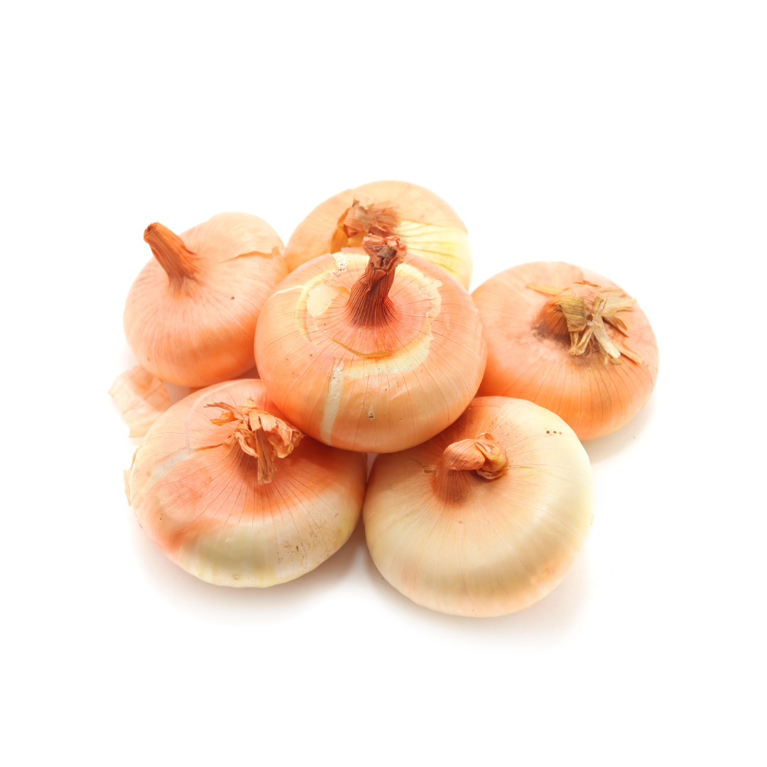 Cipollini Onion (1 Each) - BCause