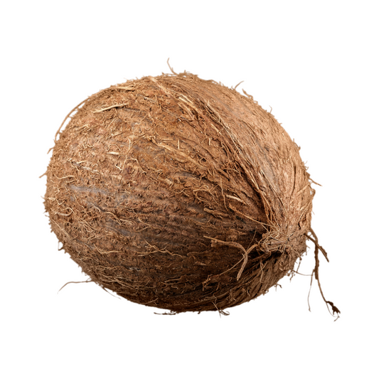 Coconut (1 Each) - BCause