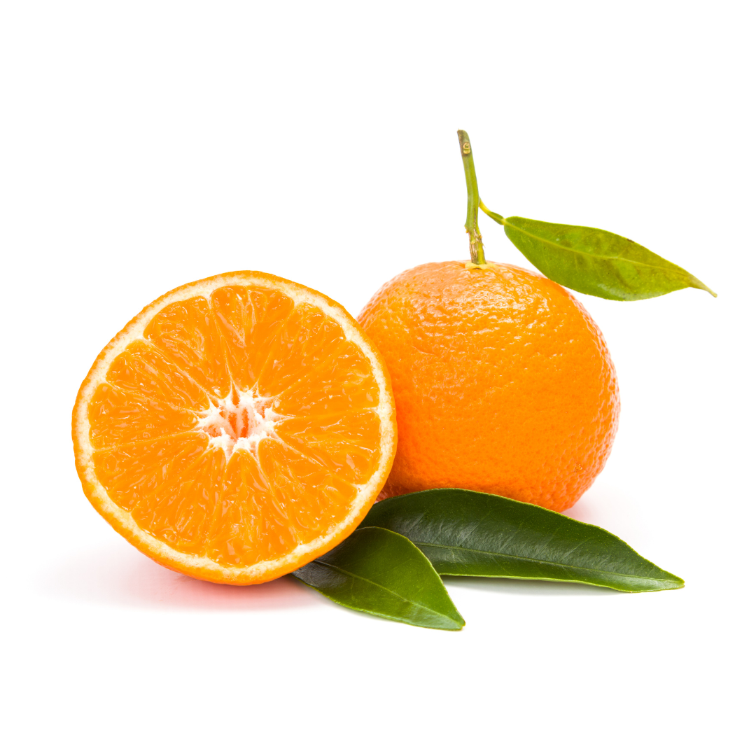 Satsuma Mandarin (1 Each) - BCause