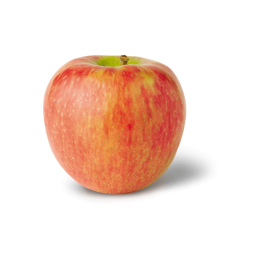 Honeycrisp Apple (1 Each) - BCause