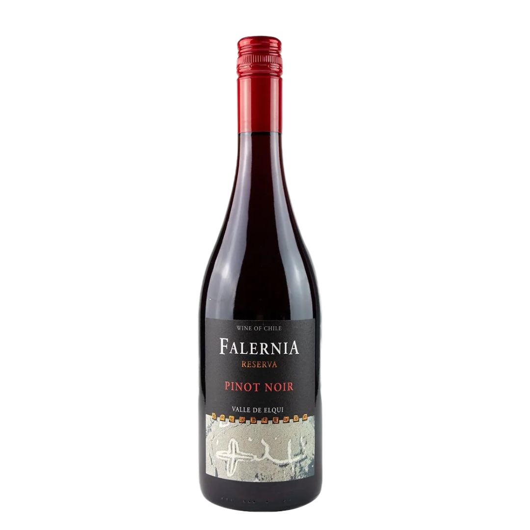 Pinot Noir - Falernia (750ml)* - BCause