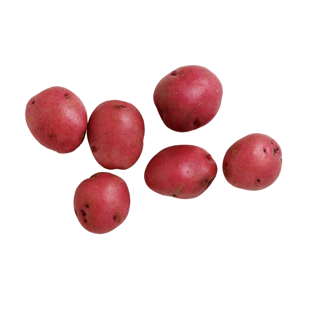 Red Nugget Potatoes - B.C. (1Lb) - BCause