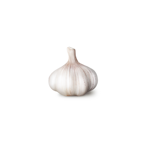 Garlic (1 Each) - BCause