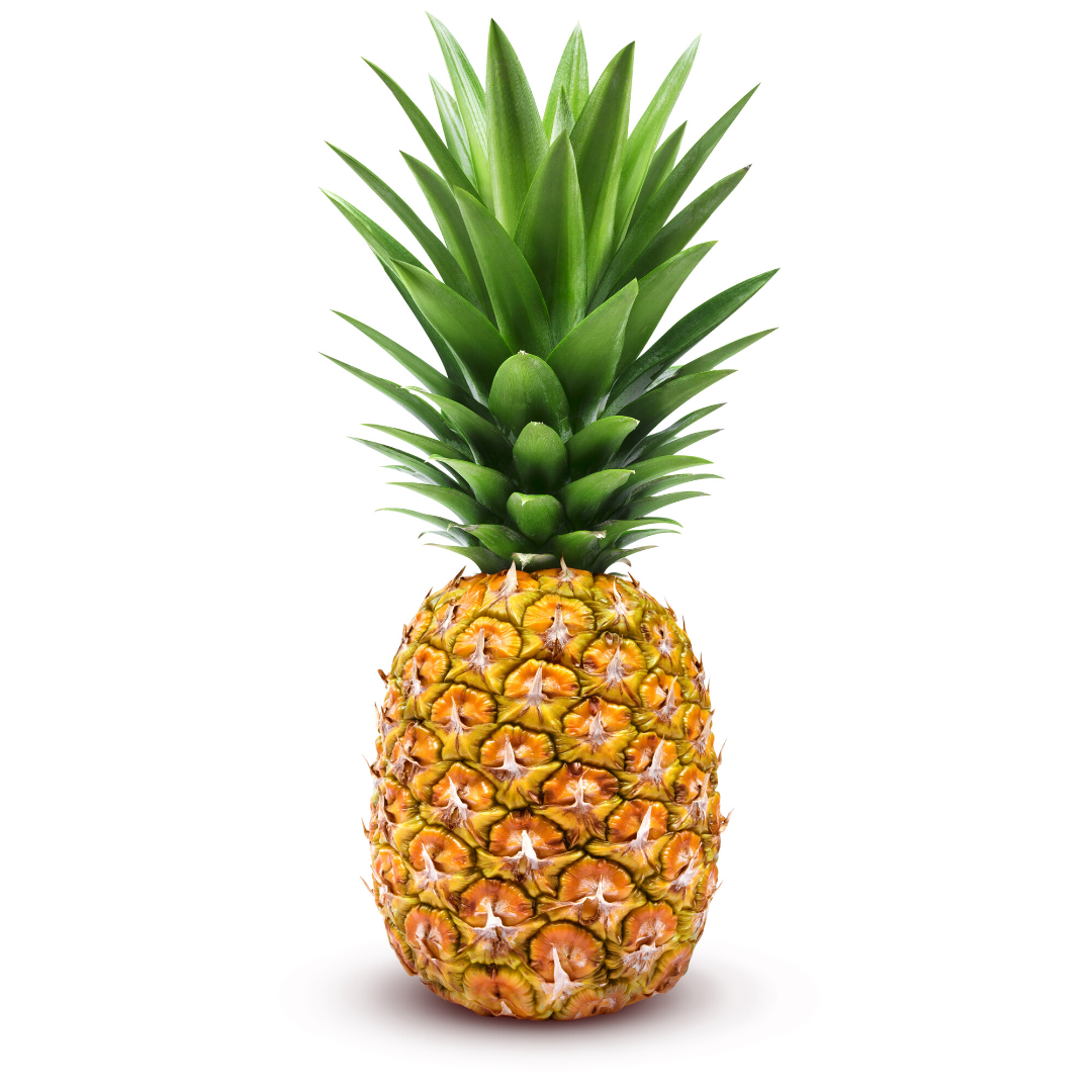Pineapple (1 Each) - BCause