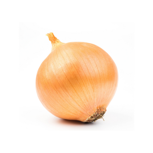 Jumbo Yellow Onion (1 Each) - BCause
