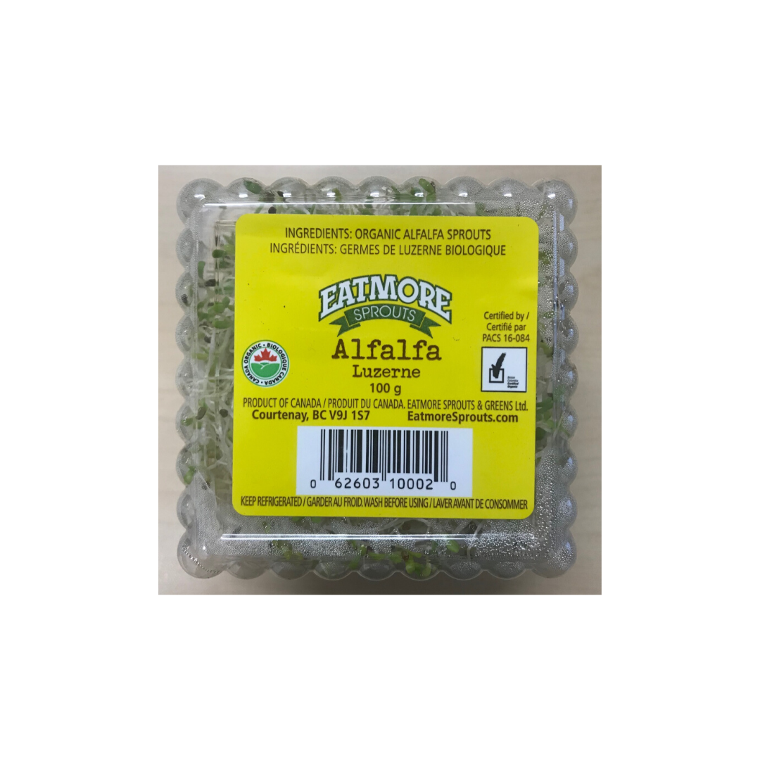 Alfala Sprouts - 1 Tub - Eatmore Sprouts - BCause