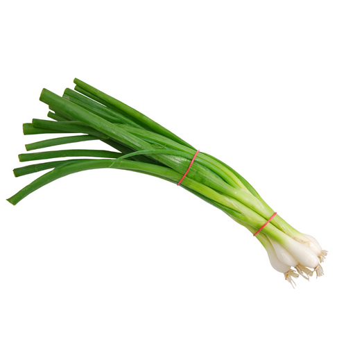 Green Onion (1 Each) - BCause