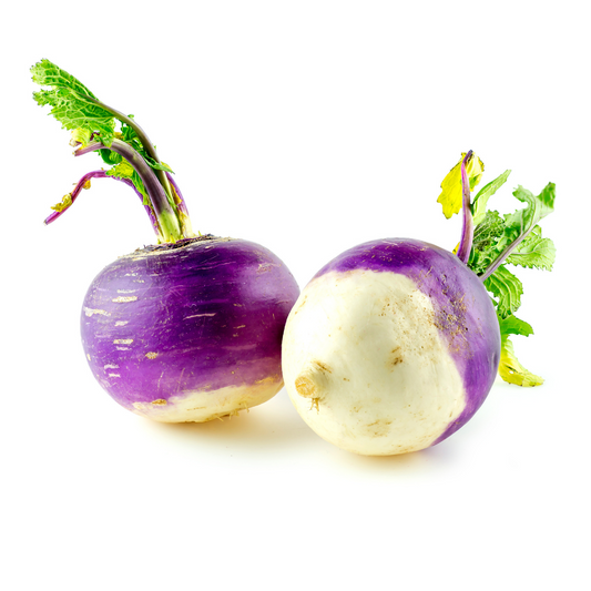 Purple Top Turnips - B.C (1 Each) - BCause